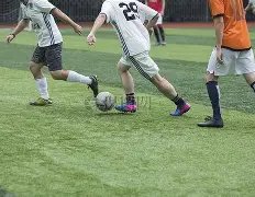 珠江,压咸补淡,应急水量调,开云体育,开云体育官网,开云体育app,开云体育app下载